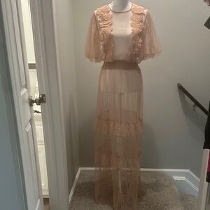 Fashion Nova Blush Sheer Ruffle Maxi Dress